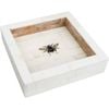LVD Wooden Bee Tray Square Home/Lounge Decor 13.97cm