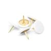 Pinnacle White Pan Head Upholstery Nails - 50 Pack