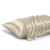 LINENOVA 100% Mulberry Silk Pillow Case 22 Momme Slip Pillowcases - Champagne