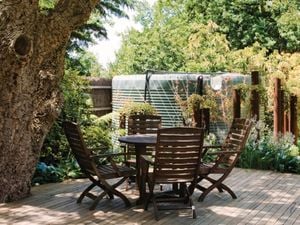 Table and chairs on a deck under a big tree.