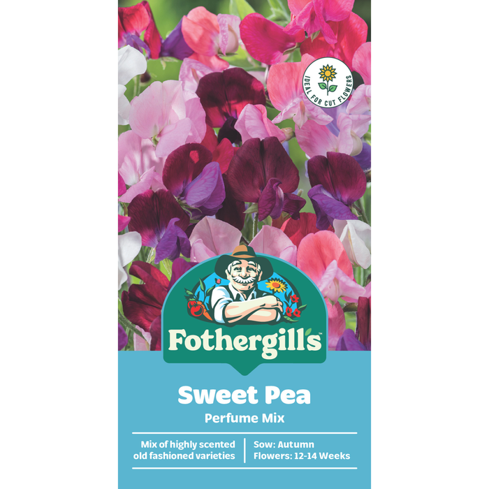 Fothergill's Sweet Pea Perfume Mix Flower Seeds