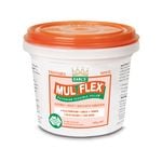 Timbermate 500g Earl's MulTflex White Exterior Flexible Filler - 500g