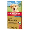 Advantix Dog Over 25kg 6's
