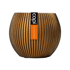 Capi 12 x 10cm Black And Gold Groove Indoor Plant Pot - 12 x 10cm