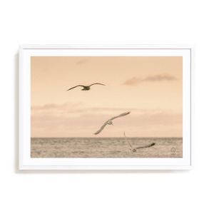 Artey | Sunset Flocks - Framed Print - White Frame - 70 x 100cm