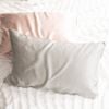 Renee Taylor Mulberry Silk 50x75cm Standard Pillow Case Rectangle Silver