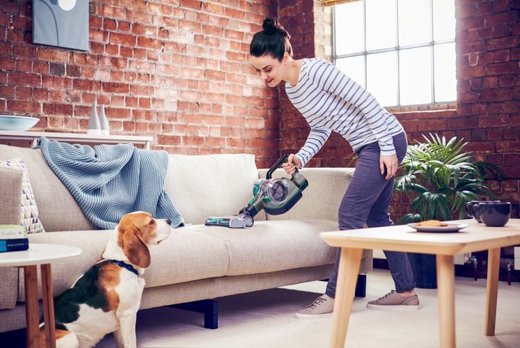 A woman using a hand vacuum on a lounge in a living room as a beagle looks on