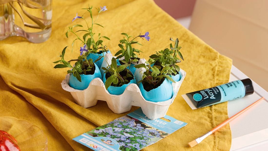 Egg carton holding blue-painted eggshells used as mini pots with small flowering plants, on a table with a yellow cloth, a vase of flowers and a seed packet.