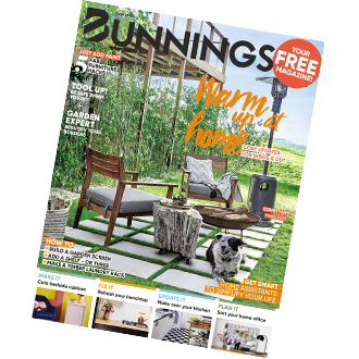 june 2020 magazine cover