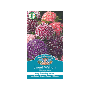 Mr Fothergill's Dianthus Sweet William Electron Seeds