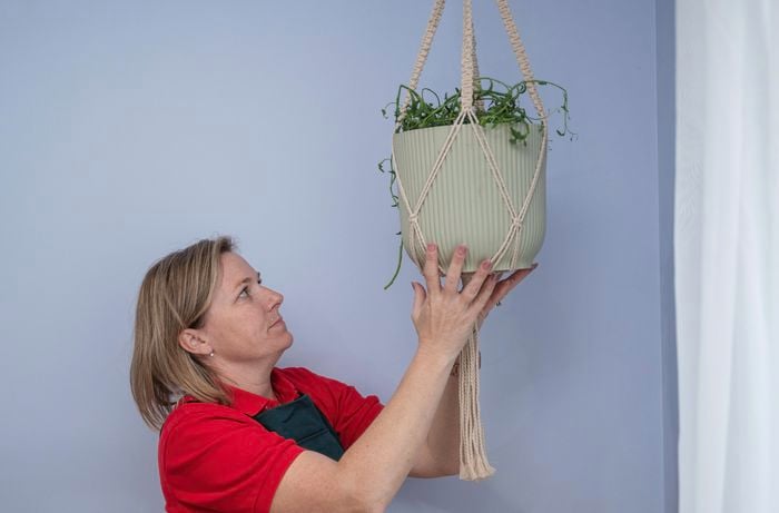 A woman holding a healthy hanging plant with her hands.