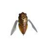 Megabass Grand Siglett 42.5mm Cicada Topwater Surface Fishing Lure Higurashi