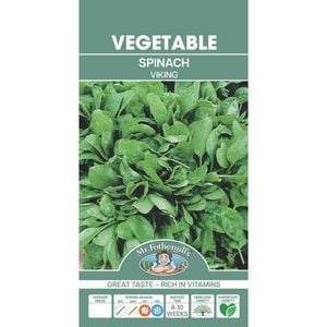 Mr Fothergill's Viking Spinach Vegetable Seed