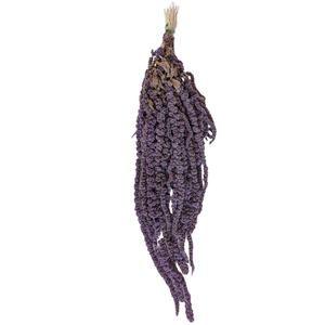 Blooms Of Joy 50-80cm Mauve Amaranthus Flowers