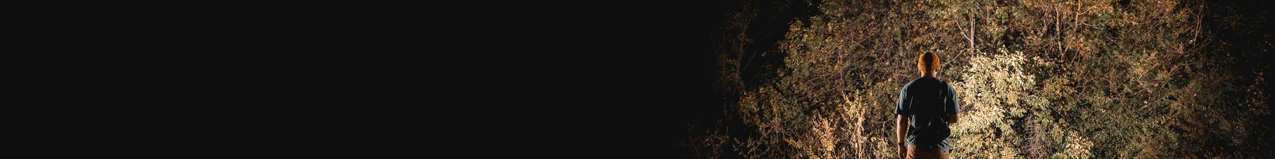Person pointing spotlight at group of trees.