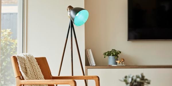 Living room with freestanding lamp.