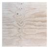 Ecoply 2400 x 1200 x 12mm Non Structural Plywood - 12mm