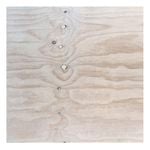 Ecoply 2400 x 1200 x 12mm Non Structural Plywood - 12mm