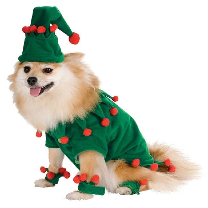 Rubies Elf Pet Dress Up Costume/Clothing Character Theme For Dogs Size L