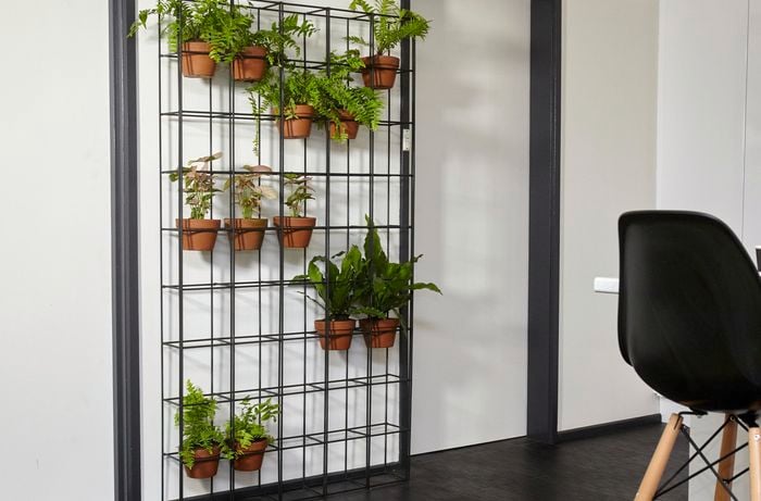 A completed indoor wire vertical garden