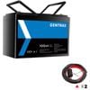 Gentrax 12v 100ah Lithium Battery, 2x 6m 60a Alternator Cable