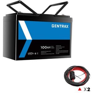 Gentrax 12v 100ah Lithium Battery, 2x 6m 60a Alternator Cable