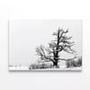 Oak Tree Winter  Print 100% Australian Made 75 x 50cm  (Stretched)
