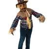 Blue Plaid Boys Halloween Scarecrow Costume - Medium