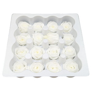Blooms of Joy 2.5cm White Spray Roses 16 Pack