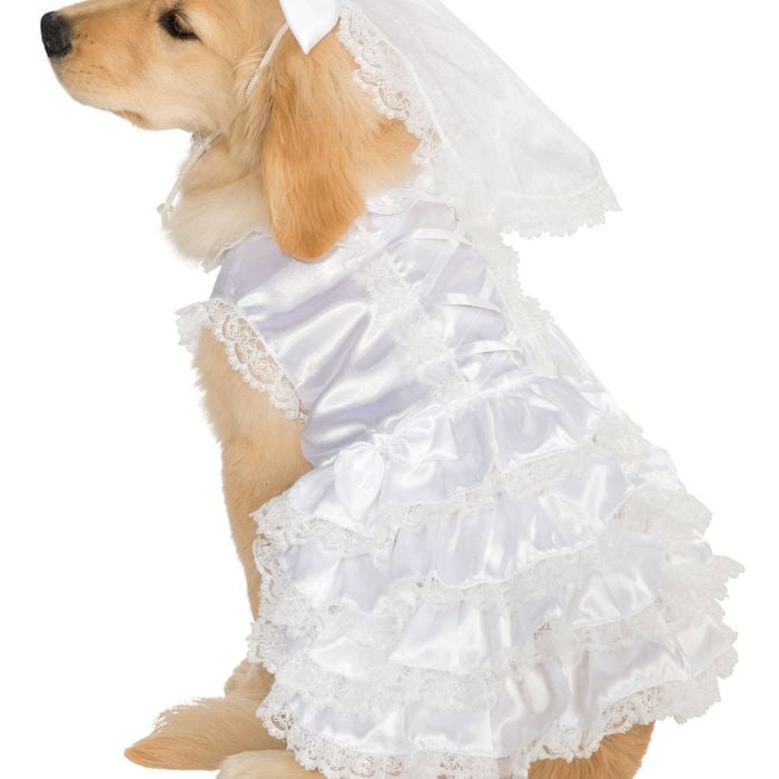Rubies Bride Pet Dress Up Costume - Size Xl For Dogs