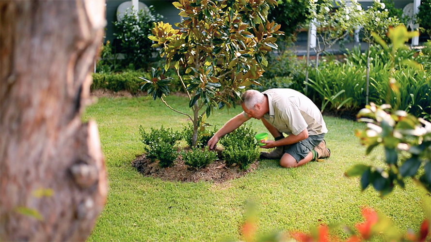 Man sprinkling plant food at the base of a tree in a garden