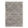 Rare 22 Silver 170x120cm - Small Shaggy Indoor Floor Rug