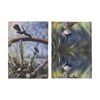2pc Ashdene Aus Small Birds Wren Wagtail Kitchen Tea Towels Animal Art