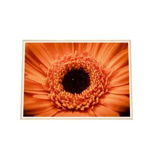 Galrie Stunning Close-Up of a Red Flower - Fine Art Photography, Wood Frame, A1 60 x 84cm (23 x 33inch)