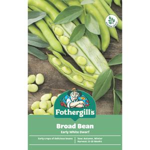 Fothergill's Broad Bean Early White Dwarf