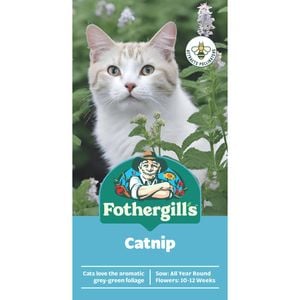Fothergill's Catnip Seeds