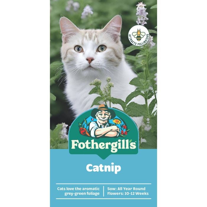 Fothergill's Catnip Seeds