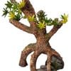 Aqua One Umbrella Pine Sapling Ornament 13.5x8x20.5cm (37477)