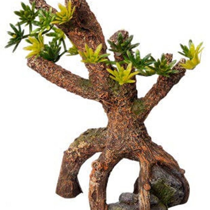 Aqua One Umbrella Pine Sapling Ornament 13.5x8x20.5cm (37477)
