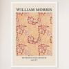 Galrie William Morris Apple Print from Metropolitan Museum (1877) - Elegant Wall Art, White Frame, A3 30 x 42cm (12 x 16inch)