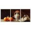3pcs Still Life Painting of an Old Vase Print 100% Australian Made 3 x 40x60cm (Metal Print)