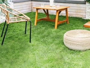 Outdoor chair, table and ottoman on green grass