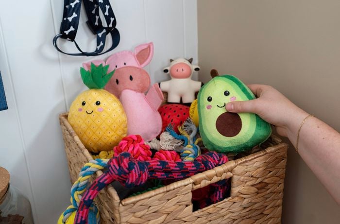A person is placing a plush avocado toy into a woven basket filled with colorful pet toys.