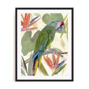Artey | Tropical Parrot Composition I - Framed Print - Black Frame - 55 x 70cm