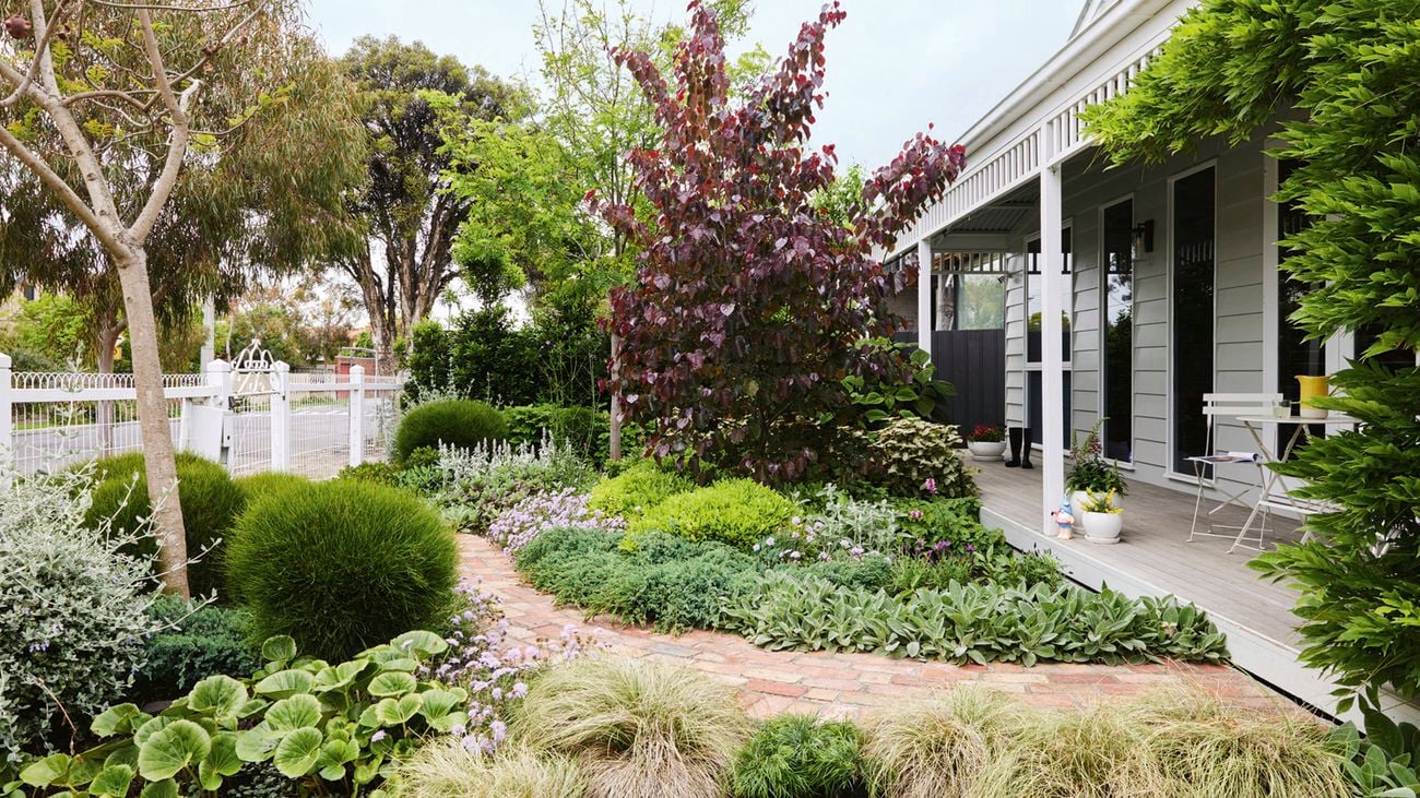 The front garden of a weatherboard house. A metal gate leads onto a curved brick path that leads to the front verandah and sits between two large garden beds featuring trees and mixed plantings.