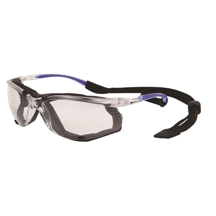 Protector Safety Glasses With Dust Guard - Clear