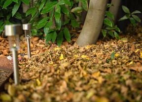 Two walkway lights installed in the garden and Autumn leaves are in the surrounding.