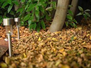 Two walkway lights installed in the garden and Autumn leaves are in the surrounding.