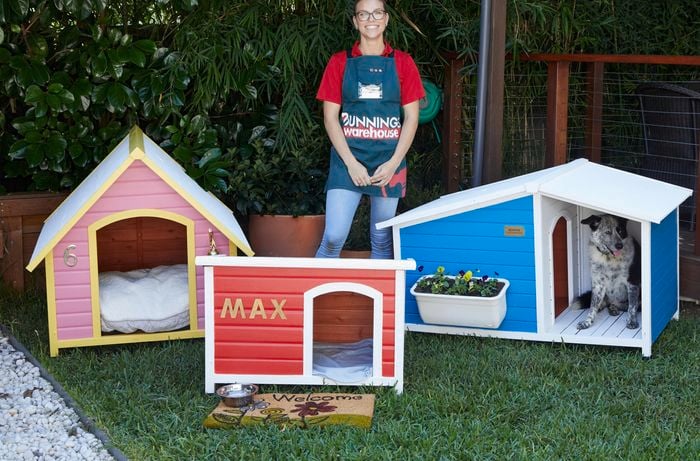 A woman stands beside three personalised dog kennels, while a black and white dog sits in a kennel