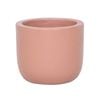 180 x 160mm Egg Clay Plain Planter